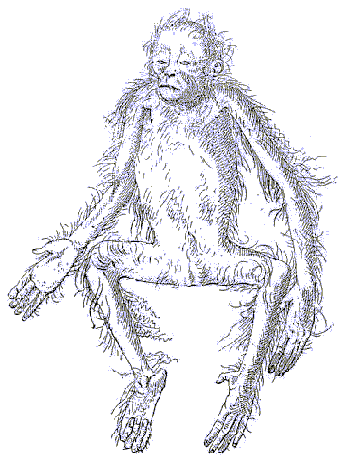 dead orang body
