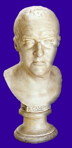 bust of Petrus Camper