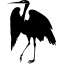 stork or Chinese