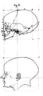 Camper's drawings of a child